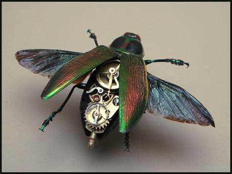 Steampunk Insects Spicytec