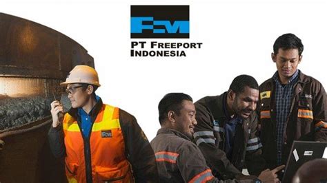 Lowongan Kerja PT Freeport Indonesia Terbaru Mei 2024 Dibuka Di 10