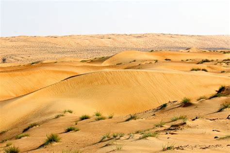 Ancient City Of Ubar Tour - 365 Adventures Oman