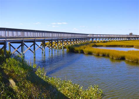 Assateague Island National Seashore Flickr