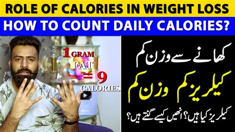 How To Count Daily Calories To Lose Weight Youtube