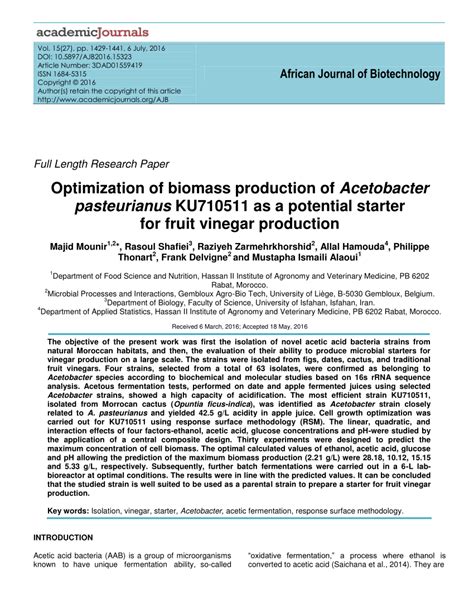 Acetic Acid Bacteria Fermentation