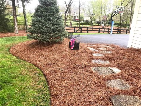 Benefits Of Pine Straw —
