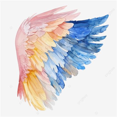 Pintura Em Aquarela De Asa De Anjo Em Rosa Azul E Amarelo PNG