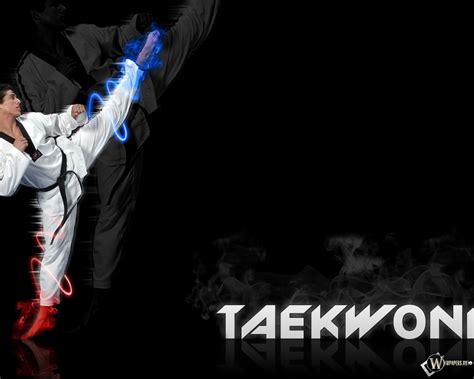 77 Taekwondo Wallpapers On Wallpapersafari