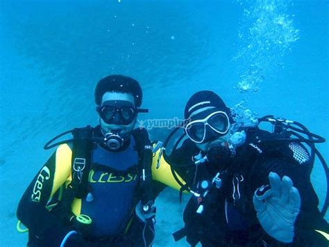 Curso Buceo Scuba Diver Desde 330 Yumping