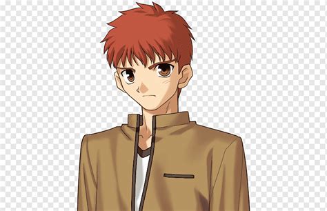 Destino estancia noche shirou emiya archer sable shirō anime pelo