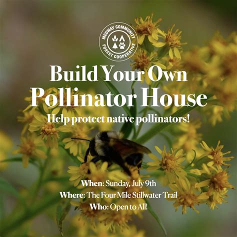 Build Your Own Pollinator House — Medway Community Forest Cooperative