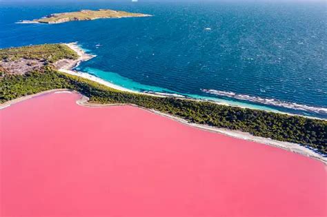 30,000+ Pink Lake Pictures | Download Free Images on Unsplash