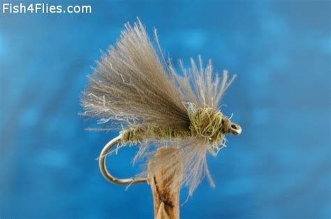 Olive Cdc Adult Caddis Fly Fishing Flies With Fish4flies Worldwide