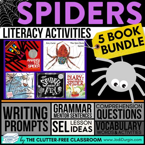 Spider Reading Comprehension Activities For Nd Rd And Th Grade