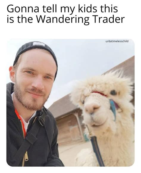 Are You 19m Rminecraftmemes Minecraft Know Your Meme