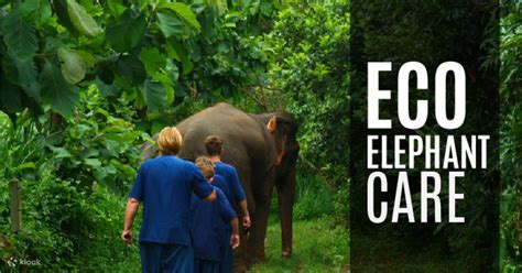 Join In Trek Waterfall Elephant Sanctuary And Water Rafting In Chiang