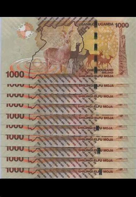 Pcs X Uganda Shillings Unc Banknotes P Etsy