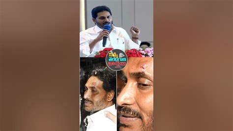 ఒకే ఒక్కటి గుర్తుపెట్టుకోండి పండ్లు పండేయ్ చెట్టుపైనే రాళ్ళూ పడతాయి