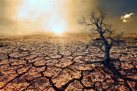 Texas Weather Drought at Cristina Lee blog