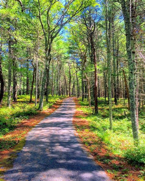 Outdoor Guide To Massachusetts The Best State Parks Outdoor Guide National Parks State Parks