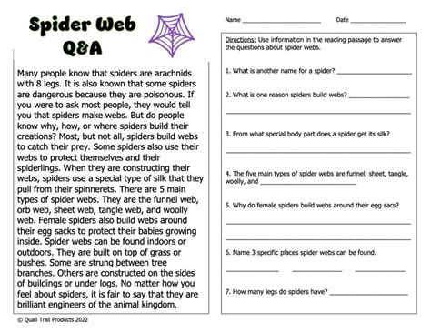 Types Of Spider Webs Worksheet Spider Web Thematic Unit