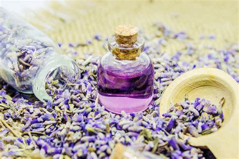 C Mo Hacer Y Utilizar El Aceite De Lavanda Mejor Con Salud