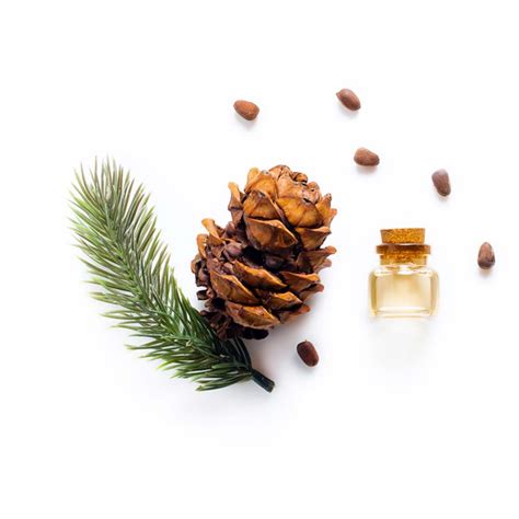 Купить хвойные отдушки для свечей и диффузоров — Hyggeland.ru