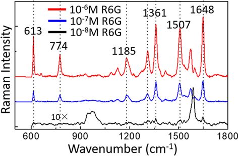 Sers Spectra Of R6g At A Concentration From 10⁻⁶ To 10⁻⁸ M Download