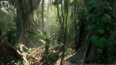 Mw Tropical Rainforest Trees Biome
