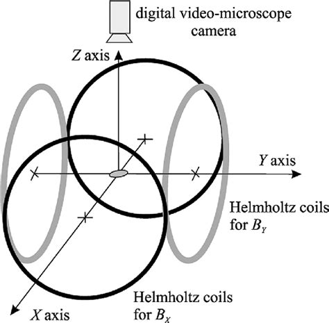 Schematic View Of The Experimental Arrangement The Two Pairs Of