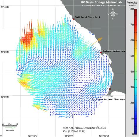 Sea Surface Current Observations Bodega Ocean Observing Node