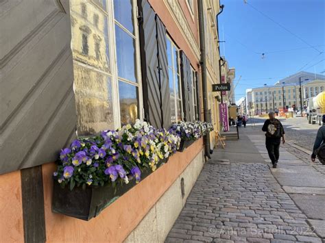 The Climate of Helsinki: What is the Typical Weather Like?