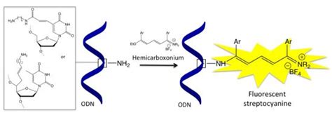 Oligonucleotide Labelling Using A Fluorogenic “click” Reaction With A