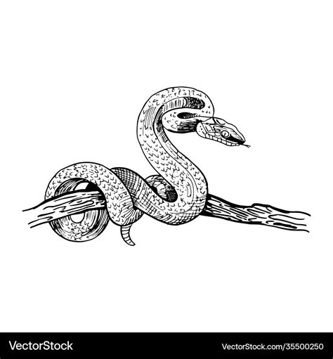Greedy Snake Hand Drawn Line Manuscript Snake Drawing