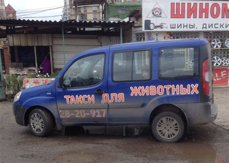 Не смог пройти мимо | Пикабу