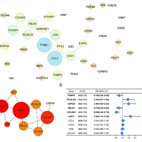 Protein Protein Interaction Ppi Network And Selection Of Hub Genes