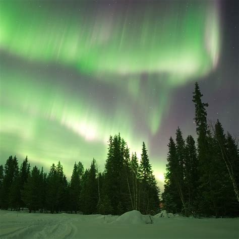 Las Mejores Fotos De Auroras Boreales De 2022