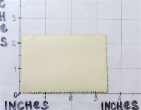 Shirtless Guys Trunks Bulge Affectionate Jock Muscle Beefcake Gay Int Photo F07 EBay