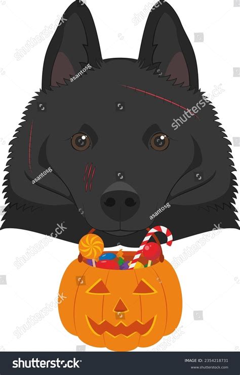 16 Schipperke Party Images, Stock Photos & Vectors | Shutterstock