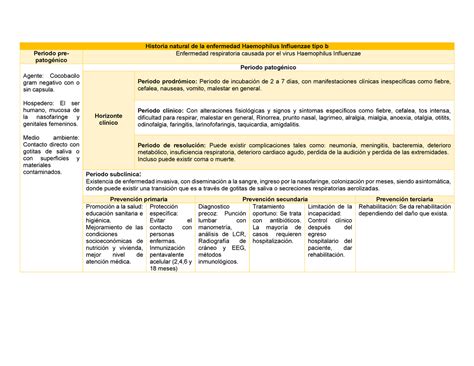 Historia Natural De La Enfermedad Haemophilus Influenzae Tipo B