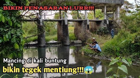 Mancing Wader Dam Kali Buntung Piyungan Youtube