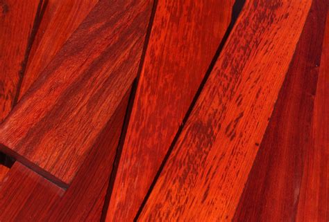 African Padauk Cook Woods