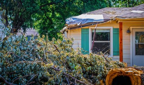 Cleaning Up After Storm Damage Essential Steps For Homeowners Waste