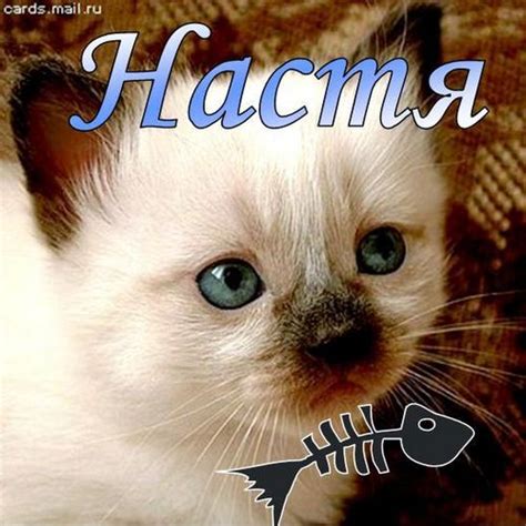 Картинки с именами Настя.