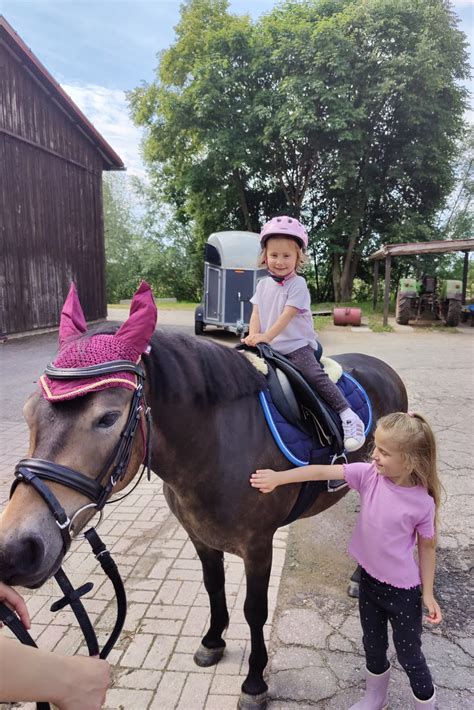 Pony Reiten Jeden Ersten Sonntag Im Monat Reit Und Fahrverein Kehl