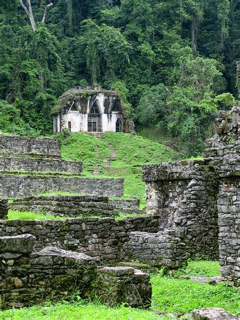 Palenque Mayan Temple Photograph by Spacewalk | Fine Art America