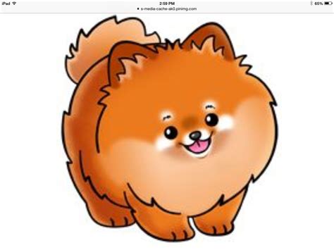 Pomeranian Cute Animal Drawings Cute Cartoon Animals Cute Drawings