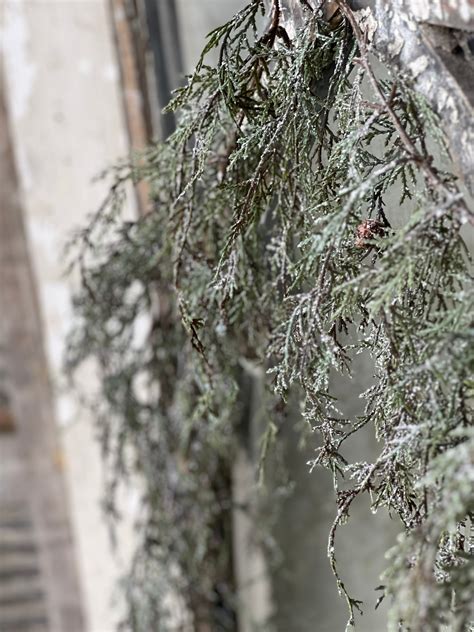 Weeping Cedar Garland Snow 6 Lancaster Home And Holiday