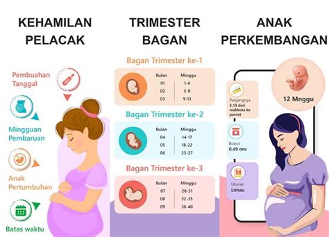 6 Aplikasi Kalkulator Kehamilan Terbaik Di Android Rancah Post