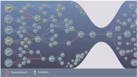 Generation Of Genetic Diversity And Antigenic Drift In The Evolution Of