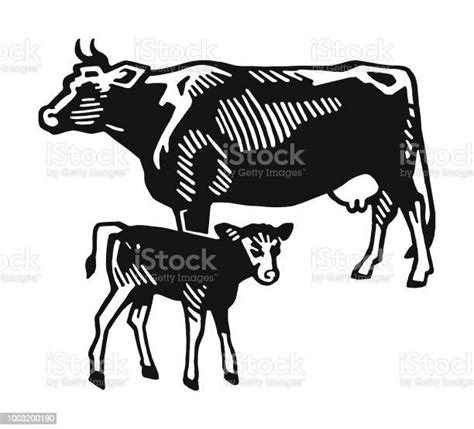 Cow And Calf Stock Illustration - Download Image Now - Cow, Calf, Line Art - iStock