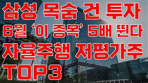 상한가 삼성전자 목숨 건 투자 6월 이 종목 5배 뛴다 자율주행 저평가 대장주 Top3 공개 6월 주식전망 자율