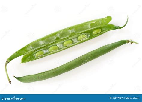 Green Beans Whole And Half Cut With Seed Isolated On White Stock